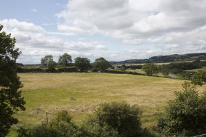 Guisborough - Mark Davis Photography